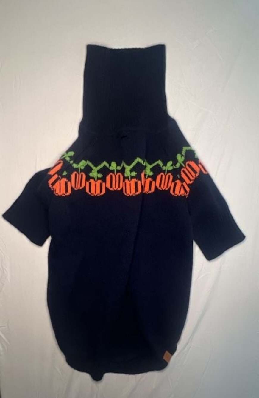The Foggy Dog Black Dog Sweater with Orange Pumpkin and Green Vine Detail